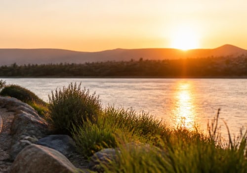 Explore Free Activities After Dinner in Santee, CA